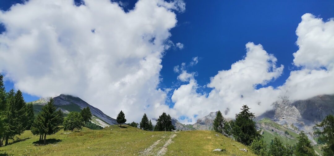 swiss neutrality flag