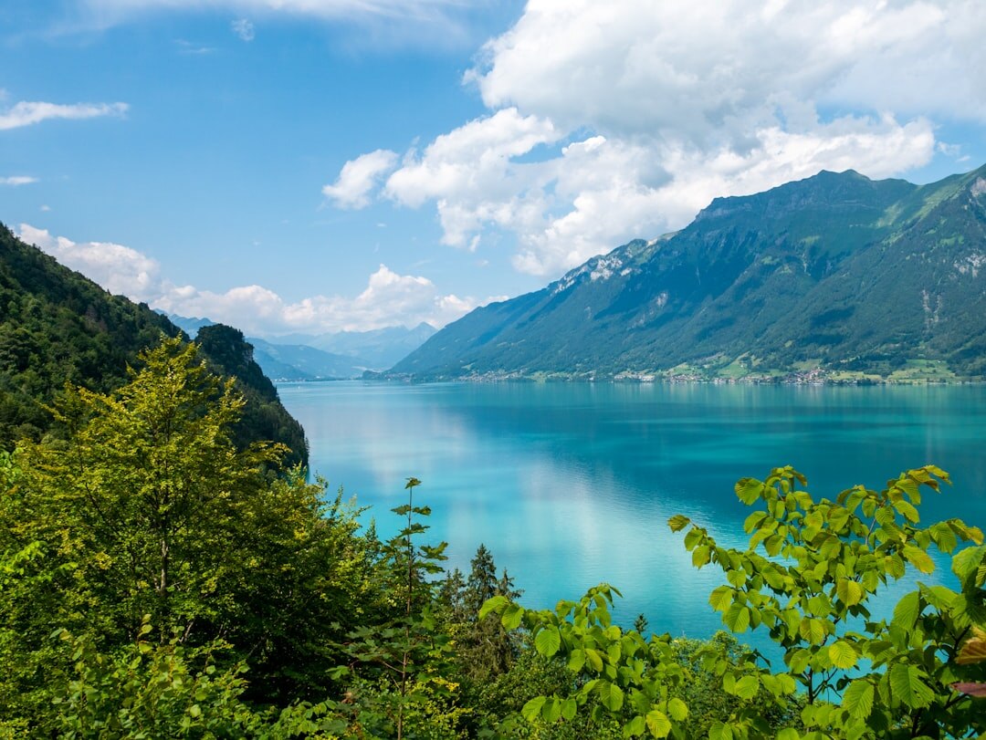 swiss alps panoramic view