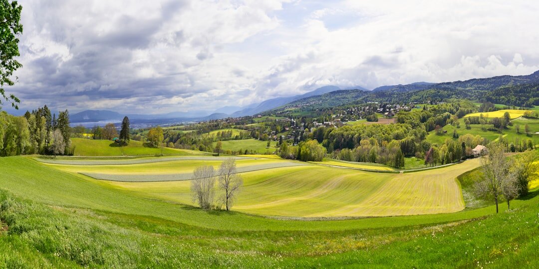 swiss countryside wealth
